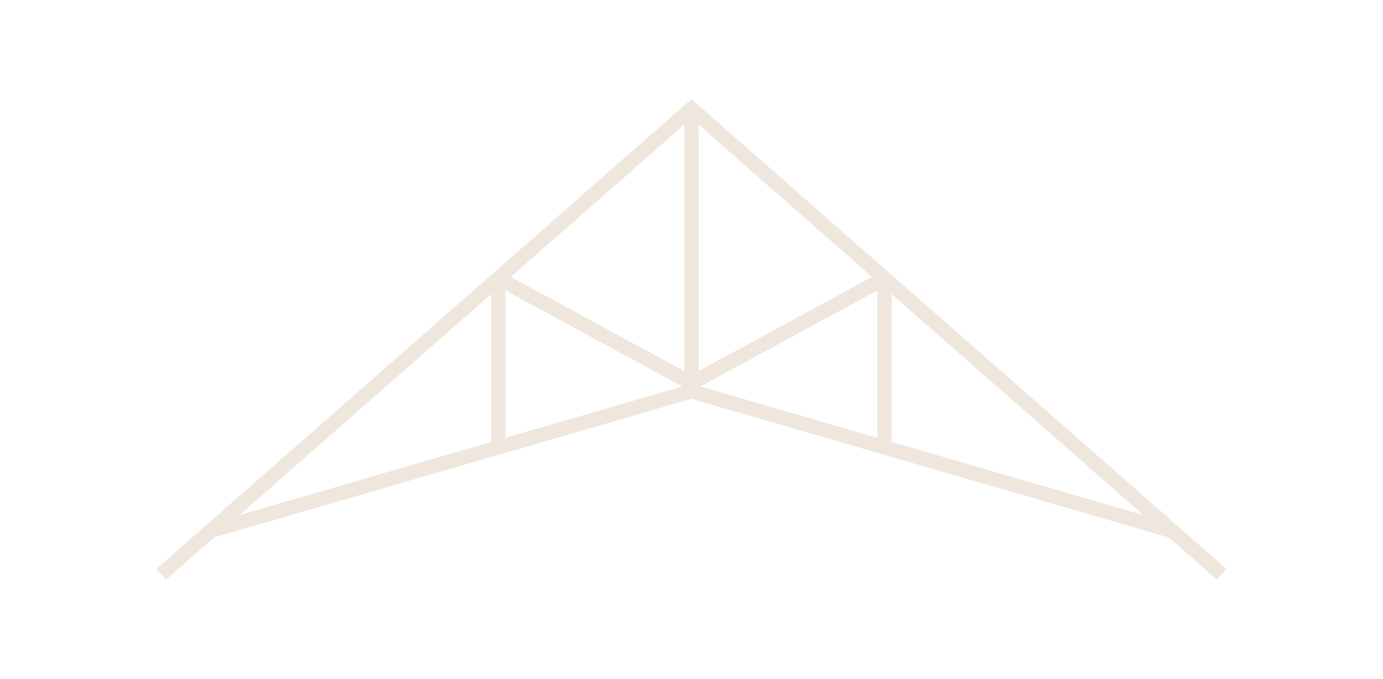 Truss Homes Icon